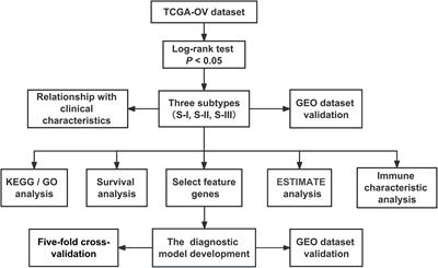 Multifactor assessment of ovarian cancer reveals immunologically interpretable molecular subtypes with distinct prognoses